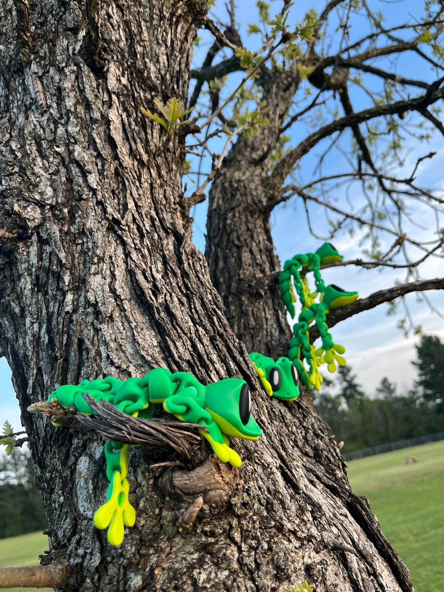 7" 3D-Printed Articulated Gecko with Magnetic Feet – Unique Desk Companion